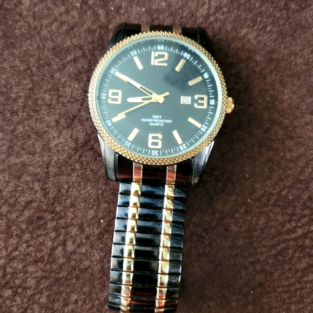 Puritan Mens Watch